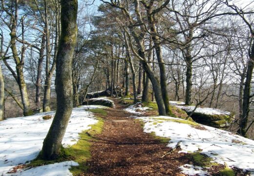 Chemin d'hivers